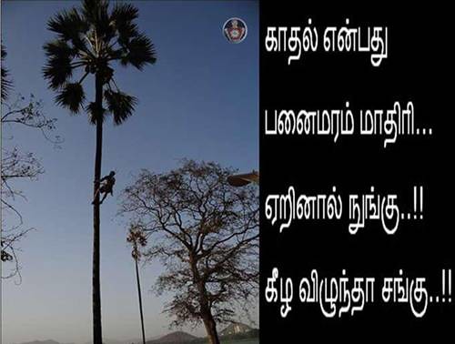 FUNNY TAMIL PICTURES IMAGES PHOTOS PICS PICTURES JOKES QUO… | Flickr