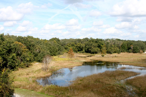 park tower water florida pascocounty crewslake crewslakepark