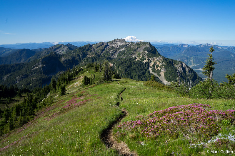 Heather and Rainier