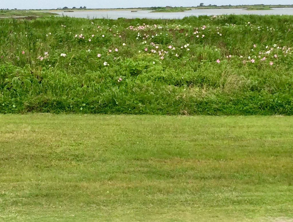 Pea Island Refuge Boardwalk