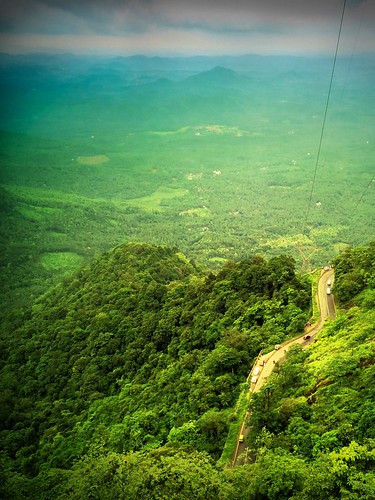 green nature valley wayanad abyss