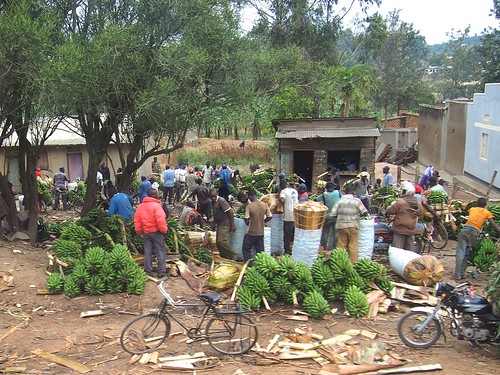 africa people fruit market banana uganda kampala sellers vendors eastafrica matoke mbarara southernuganda