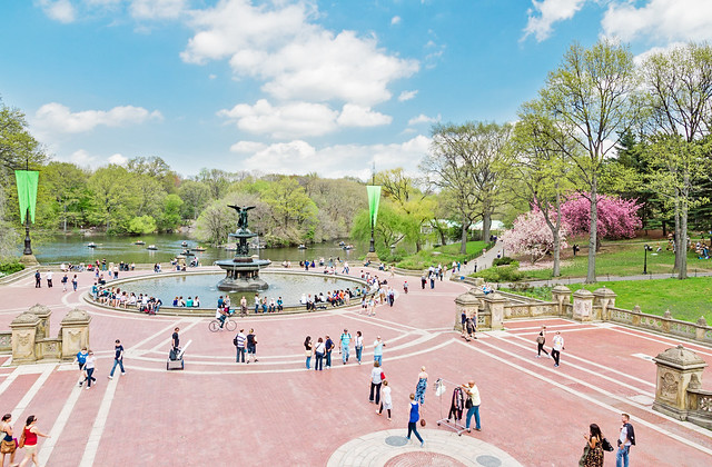 An Oldie - Meeting the Spring in Central Park New York