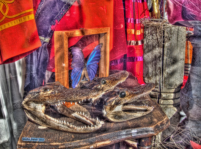 Happy Halloween from the Dead Gators of Haight Street, HDR…