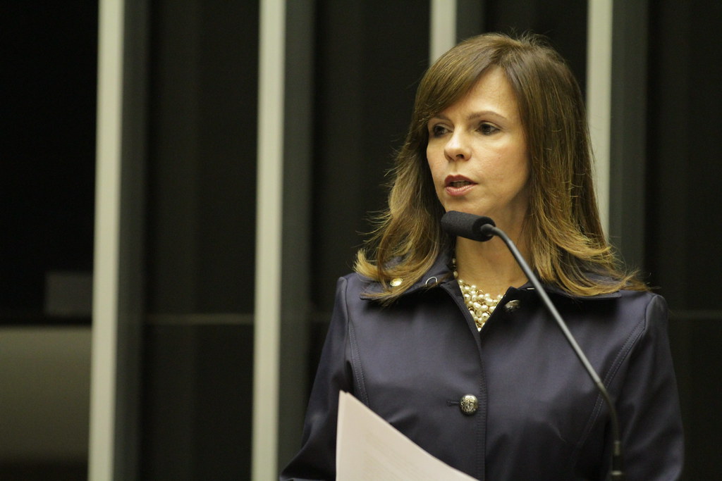 Deputada Professora Dorinha - Discurso no plenário da Câma… | Flickr