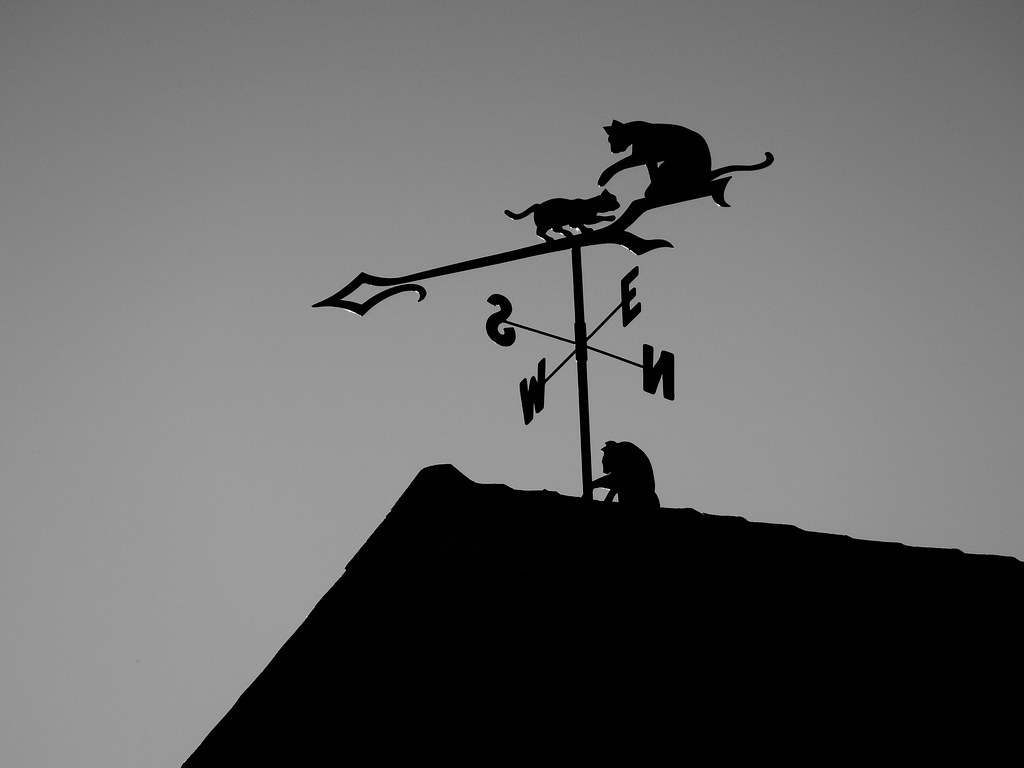 Weather Vane in Black and White