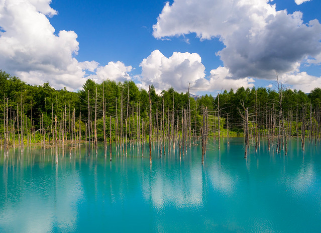 The Hidden Blue Pond