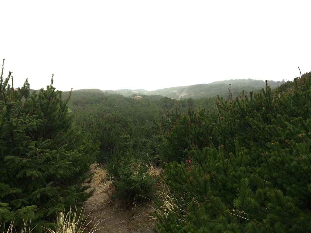Whalen Island Loop