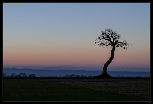 sunset couchédesoleil heurebleue bluehour paysage landscape normandy normandie arbre tree ciel sky contrejour backlight campagne country side contemplation solutide