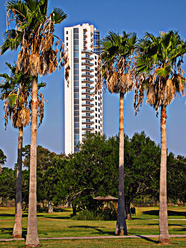 park trees usa building green digital canon colorful texas artistic powershot september palmtrees clearlake condos overlooking hdr seabrook digitalphotography atthepark endeavour scenicview canoncamera harriscounty 2013 seabrooktexas nasard1 clearlakepark verticalphotos elph300hs picmonkey