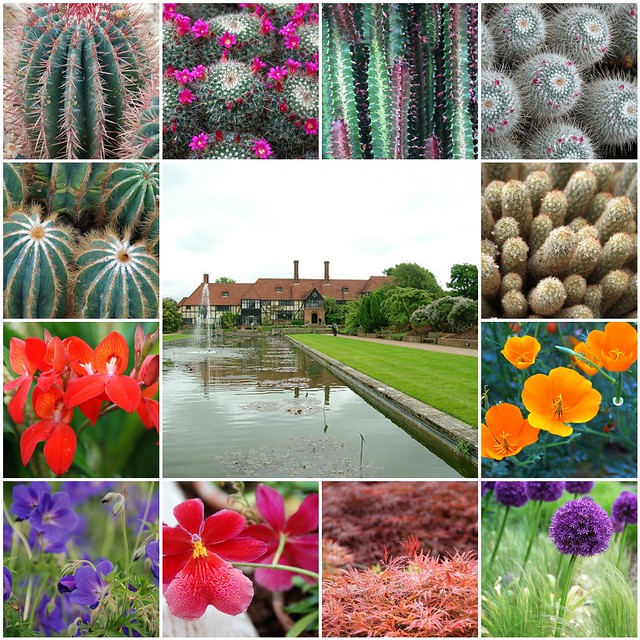 The RHS at Wisley - Beauty That Crosses All Borders!