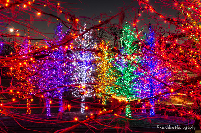 2013 - Vitruvian Park Christmas Lights - Addison, TX