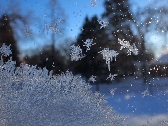 Collecting snowflakes - nonmacro close-up shot
