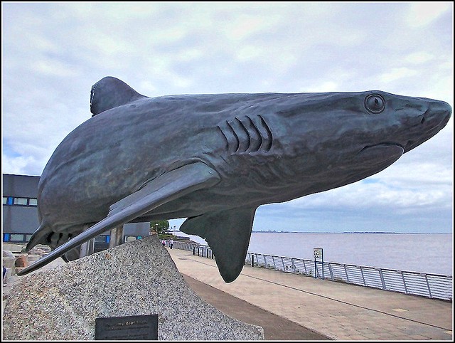 Shark Sculpture ..