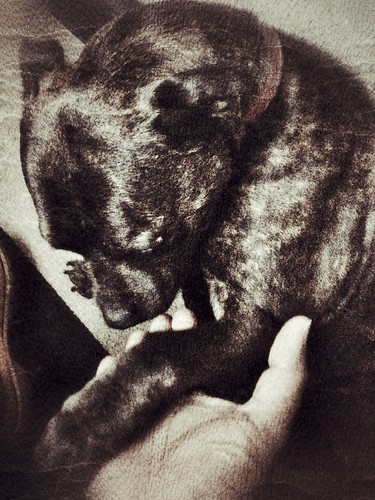 Unconditional Friends | by D'Yon