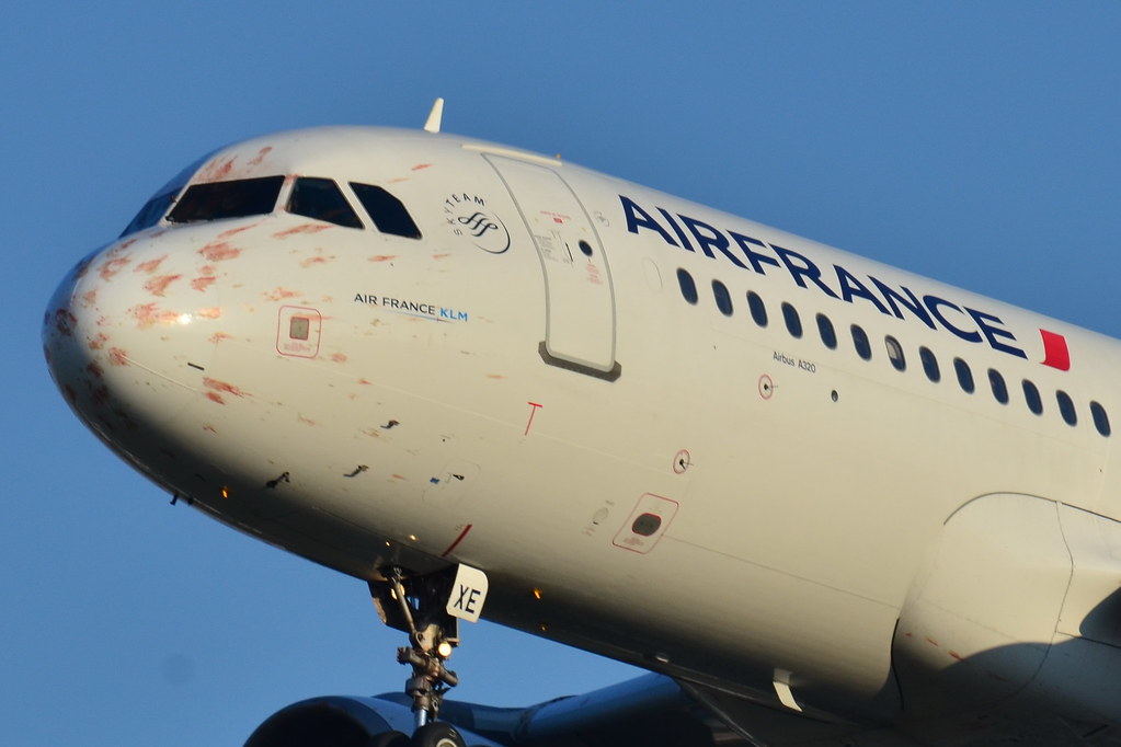Airbus A320-200 Air France (AFR) F-GKXE - MSN 1879  - Return after bird strike during takeoff