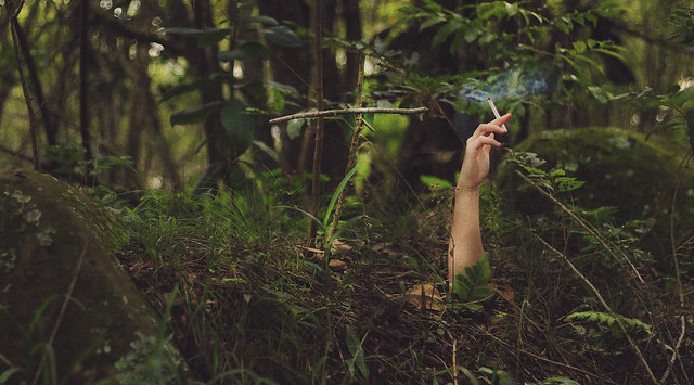 “Vocês  fumam  para  saborear.  Eu  fumo  para morrer.”