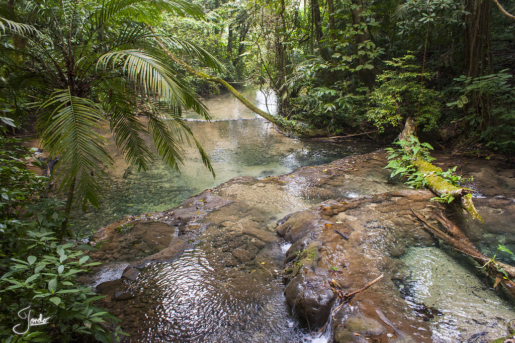 Cascadas en Palenque | Jorge Luis Flores | Flickr