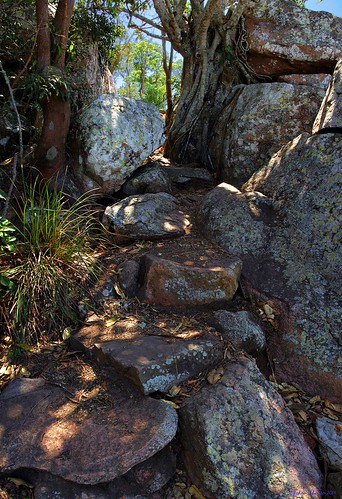 panorama forest landscape scenery stitch australia hires queensland pan stitched highres northqueensland