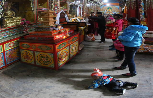 A young worshipper--Zhouni monastery , Gansu Province , China