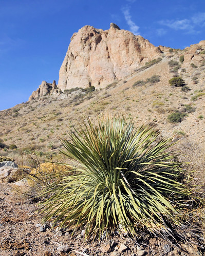 mountain desert arid rocks demming newmexico landscape springcanyonstatepark