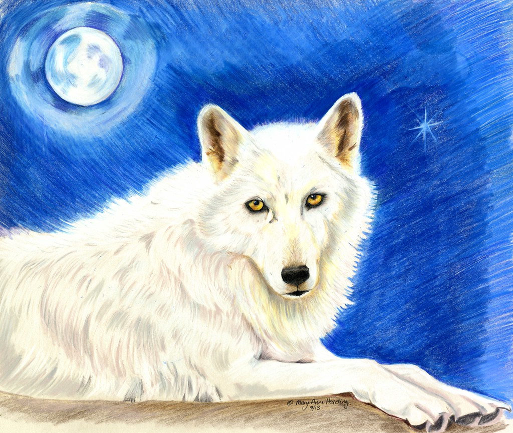Wolf names. Белый волк декоративная живопись. Алмазная мозаика Цербер. Вышивание крестиком волк. Серебряный волк кошка.
