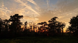 Sunset in Barataria Preserve, New Orleans