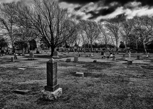 landscape cemetery tombstones blackandwhite monochrome outdoor trees