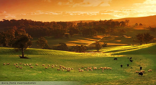 En Route To Oberon || RURAL GLOW by rhyspope, Please view large by pressing "L"

Facebook:
<a href="http://www.facebook.com/rhyspopephot