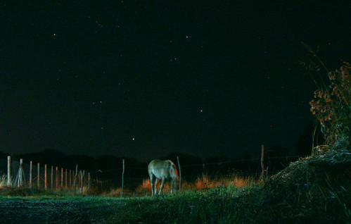 Nocturno | by Claudio.Núñez