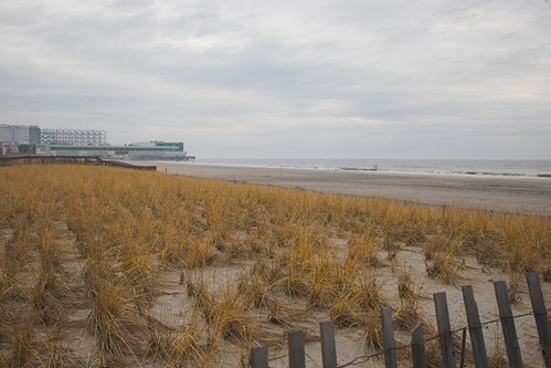 jersey shore | by dcJohn