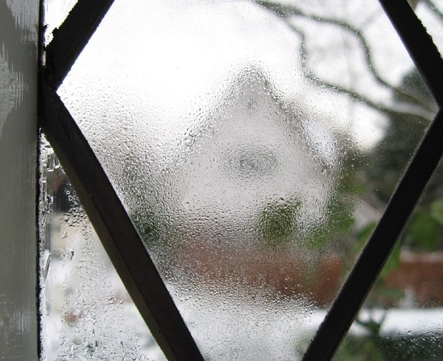 Damp window
