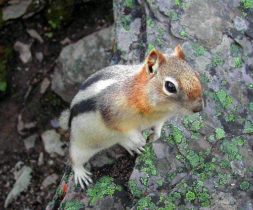 Friendly... | by teenpics
