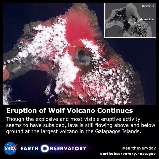 Eruption of Wolf Volcano Continues