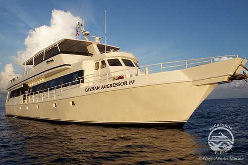 Cayman Aggressor IV