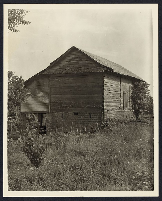 Unidentified cabin, Natchez vic., Adams County, Mississippi (LOC)