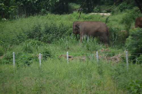 CMS_2890 | by Loop Abroad Thailand