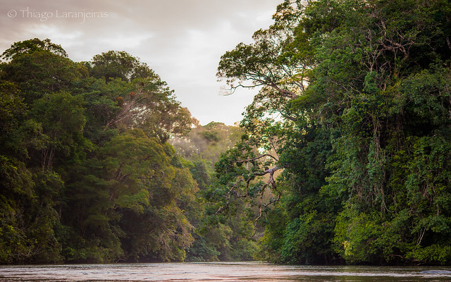 margens do Rio Oiapoque, Parque Nacional Montanhas do Tumucumaque