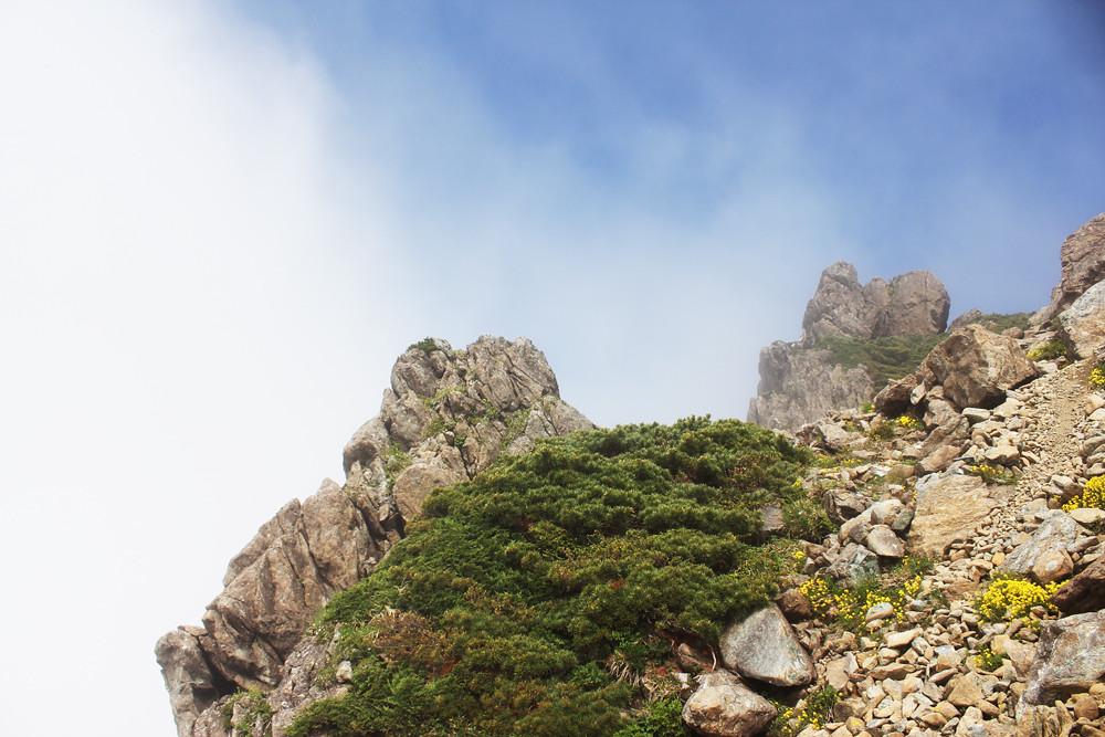 高山感
