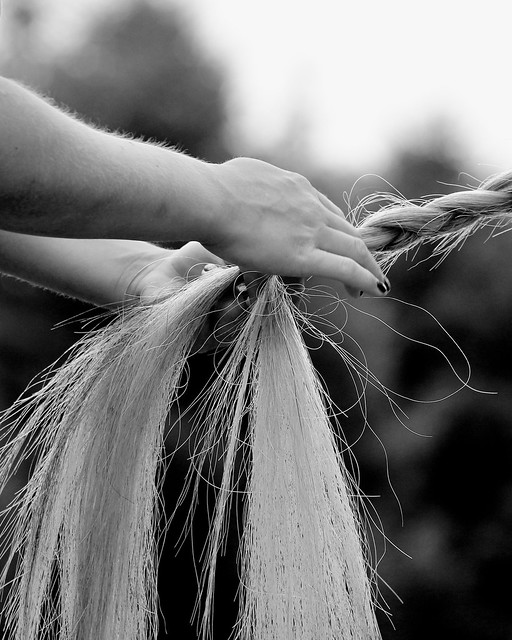 Braiding a Polo Horse's Tail