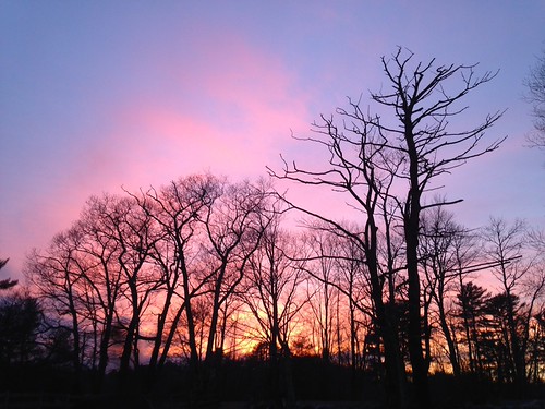 January by Amity Beane, uploaded:by=flickrmobile flickriosapp:filter=nofilter