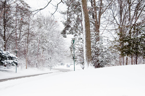 Narnia (University drive, in front of Middlesex college, UWO)
