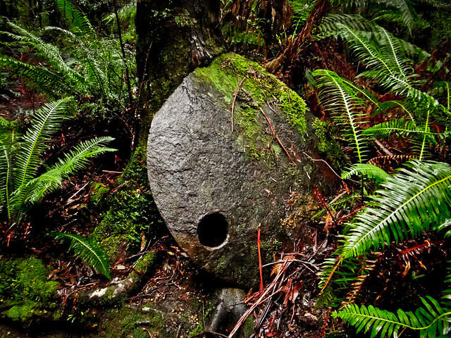 Forestry 'Shoe', Duckhole Lake Walk, Southern Forests