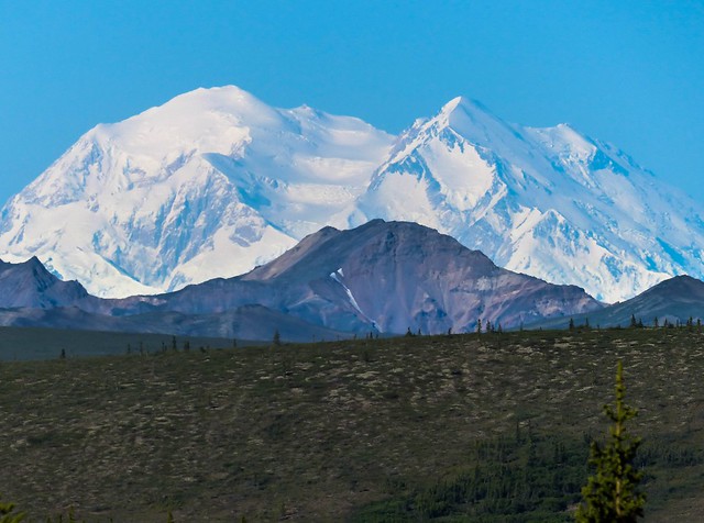 Denali towers above everything