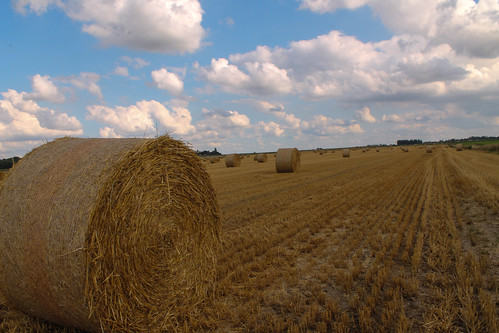 france nature field rural landscape europe view champs straw bale paysage campaign campagne vue nord ballots paille