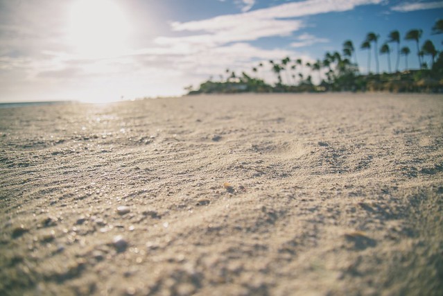 Sand glistens on the beach of the Divi All Inclusive Resort in Aruba
