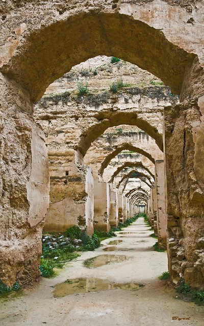Roman stable arches