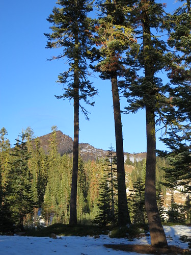 JustBeforeSunset by estro, At the Southwest campground in Lassen National park. Sunset is nigh. nationalpark lassen