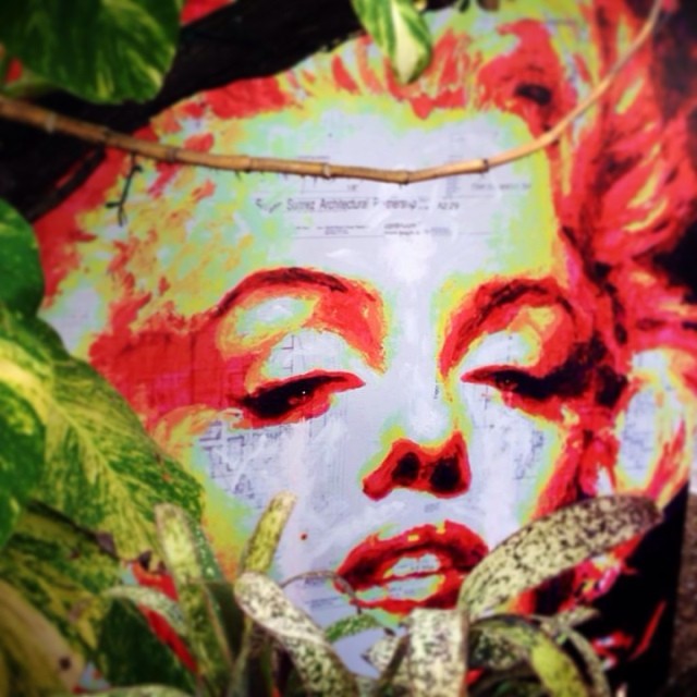Marilyn from the Jungle.    #havi #haviart #havischanz #art #arte #artbasel #miami #marilyn #miamibeach #nikkibeach