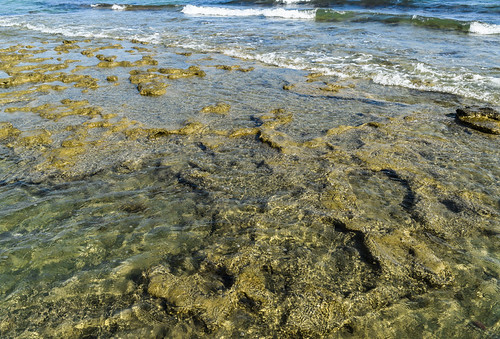 Coastal Seabed | by Lucas.Klappas